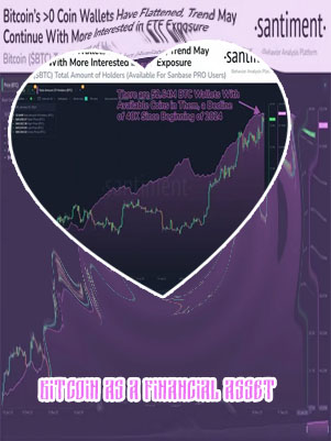Bitcoin as an investment