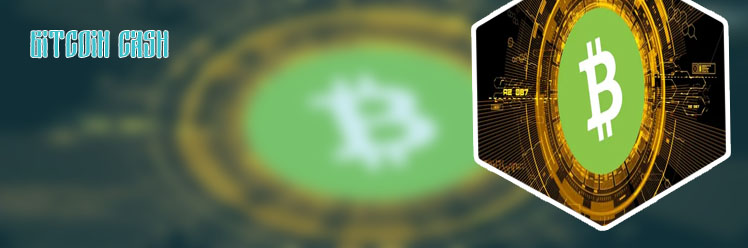 Bitcoin cash news