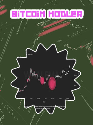 Bitcoin hodler