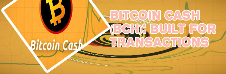 Bitcoin more cash