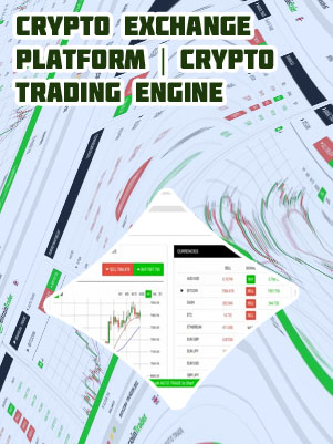 Bitcoin trading platform software