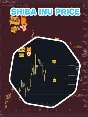 Shib price crypto
