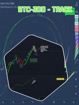 Track btc
