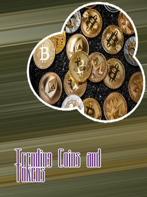 Yummy coin crypto